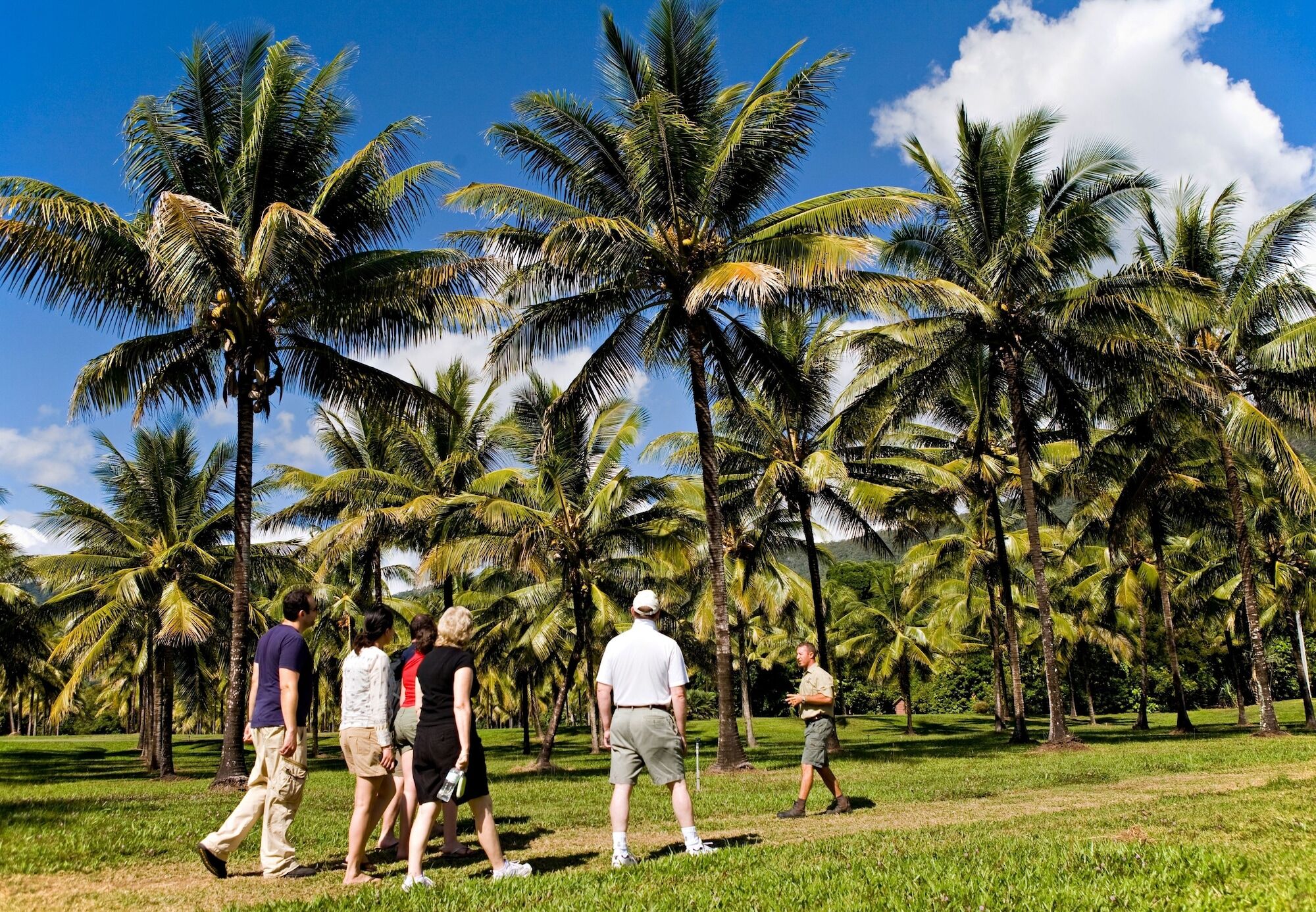 Thala Beach Nature Reserve Порт Дъглас Екстериор снимка